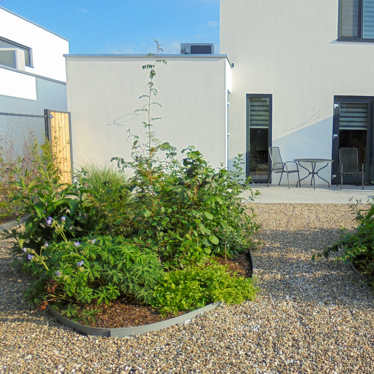 Waarom Tuiny Forest wel fantastisch is voor je tuin en de natuur!