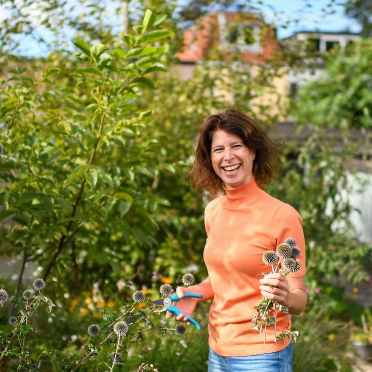 Vijf jaar Tuiny: de tuin van Cécile