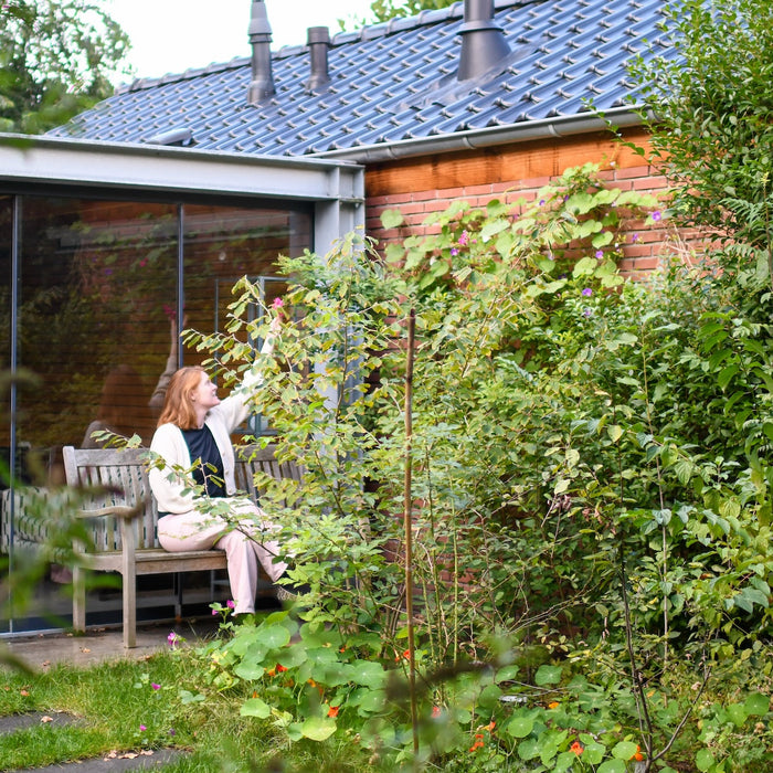 Vijf jaar Tuiny: in de tuin bij Mies!