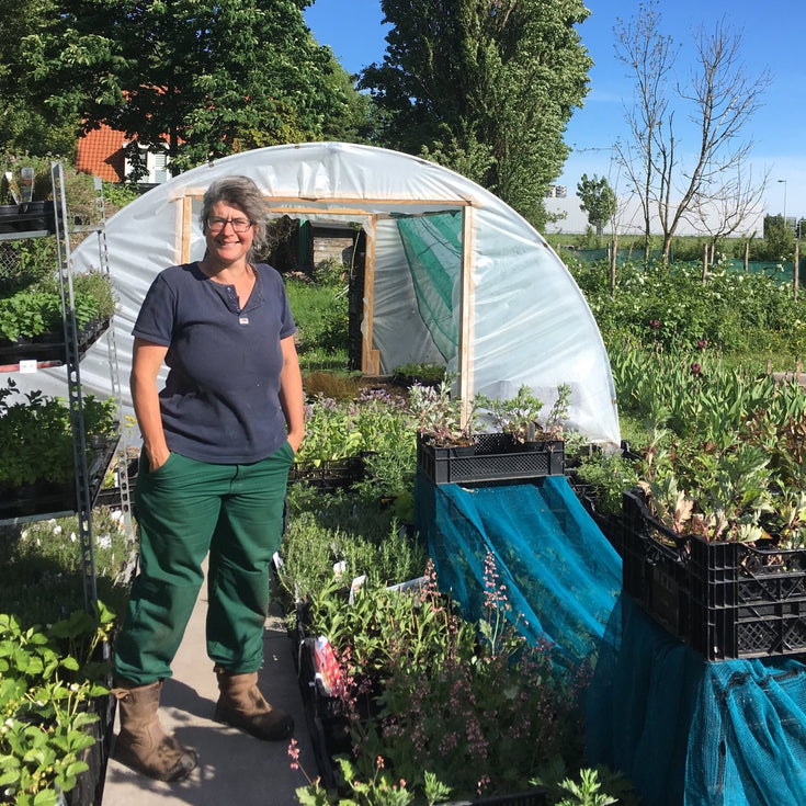 Zo kweekt Alies in de biologische klei van Amsterdam