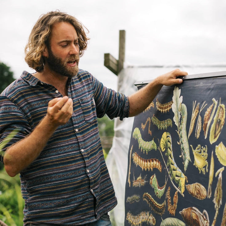 Meer leven in je tuin! 7 tips van De Vlinderman