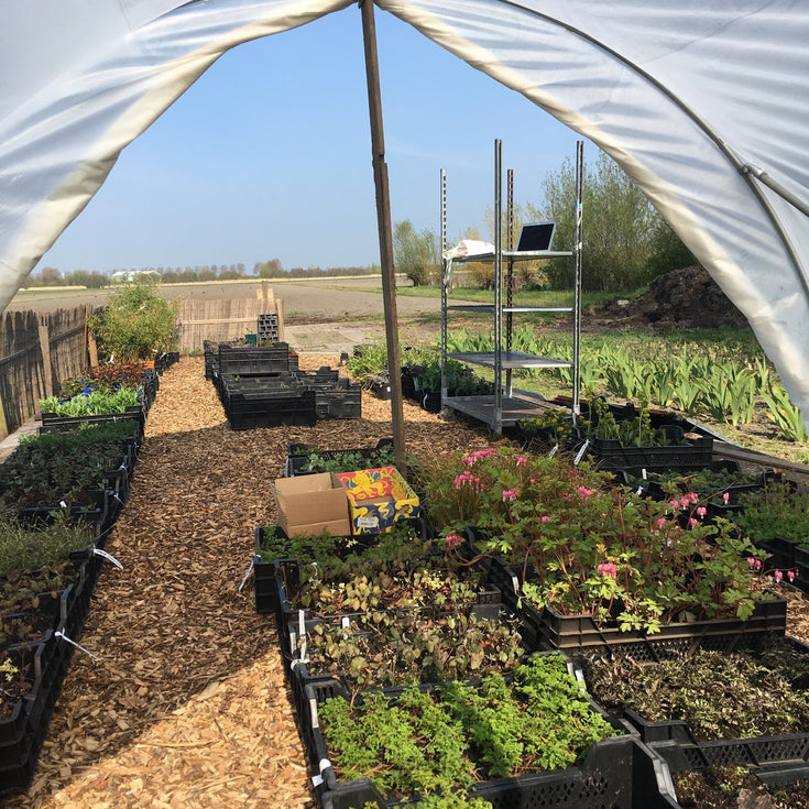 Sprinklr's goede voornemens voor 2020