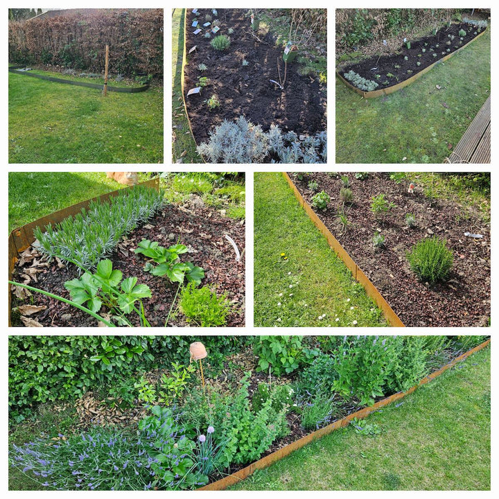 Zo groeien de Voedselbosjes, smul mee!