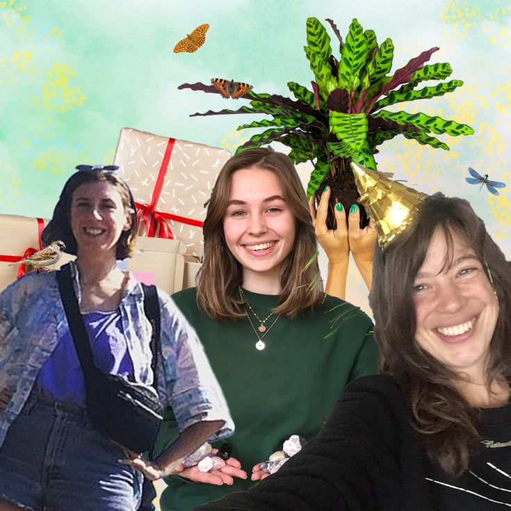 Verlanglijstjes van het Sprinklr team!