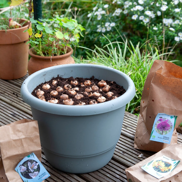 Hoe bouw je een mooie bollenlasagne?