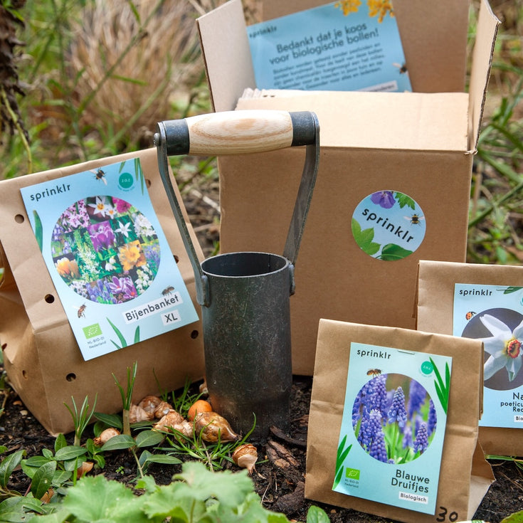 Wanneer is de beste tijd om bloembollen te planten?