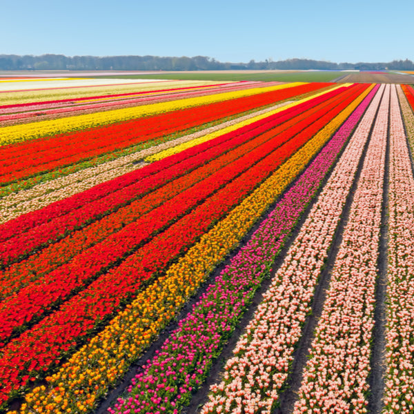 Waarom pesticiden echt weg moeten