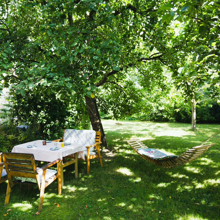 Waarom zou je bomen planten? Hier heb je 7 redenen!