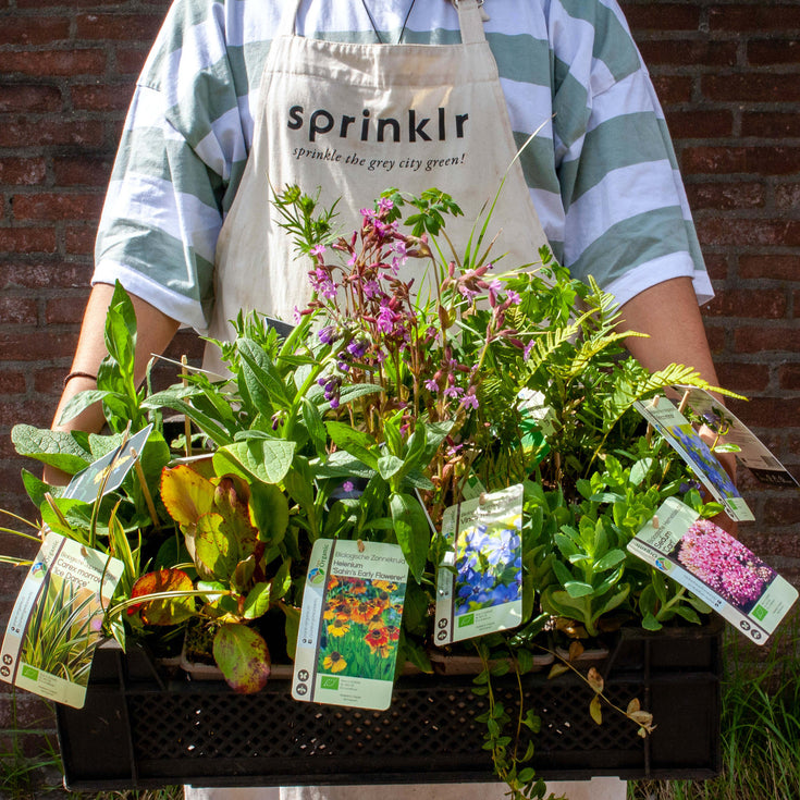 Aan de slag in je tuin? Zo kies je jouw ideale pakket!