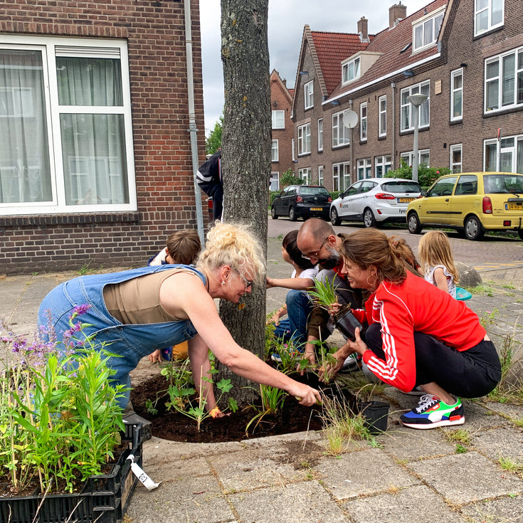 Zo breng je je straat tot leven!