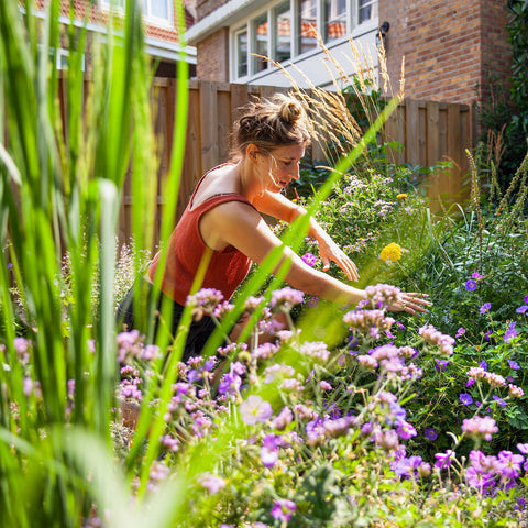 Reviews over Sprinklr, waar komen ze vandaan?