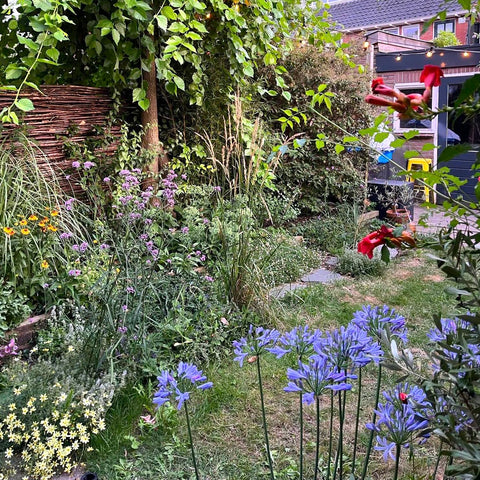 De tuintransformatie van Carmen: van rechttoe naar romantisch