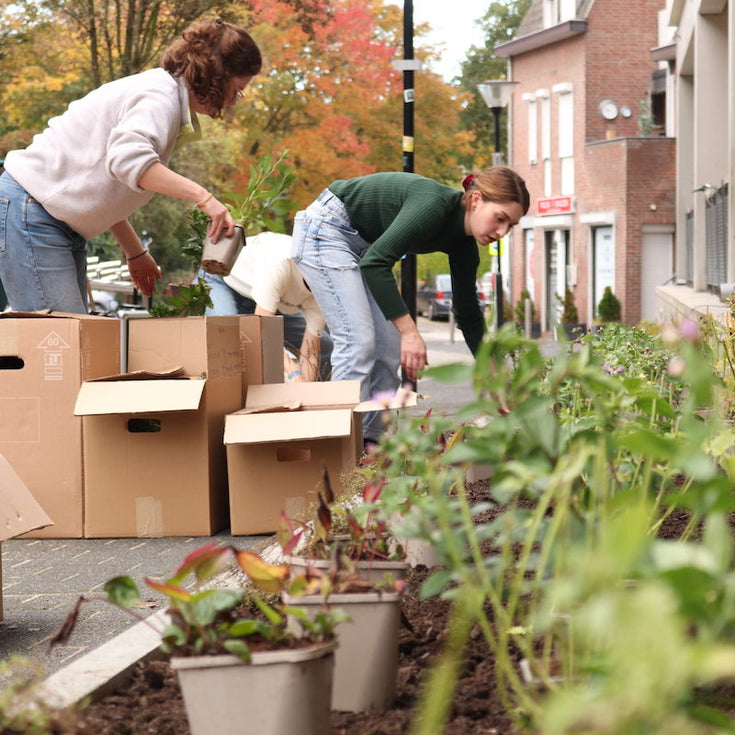 Van stenen centrum naar groen paradijs, met hulp van Sprinklr!