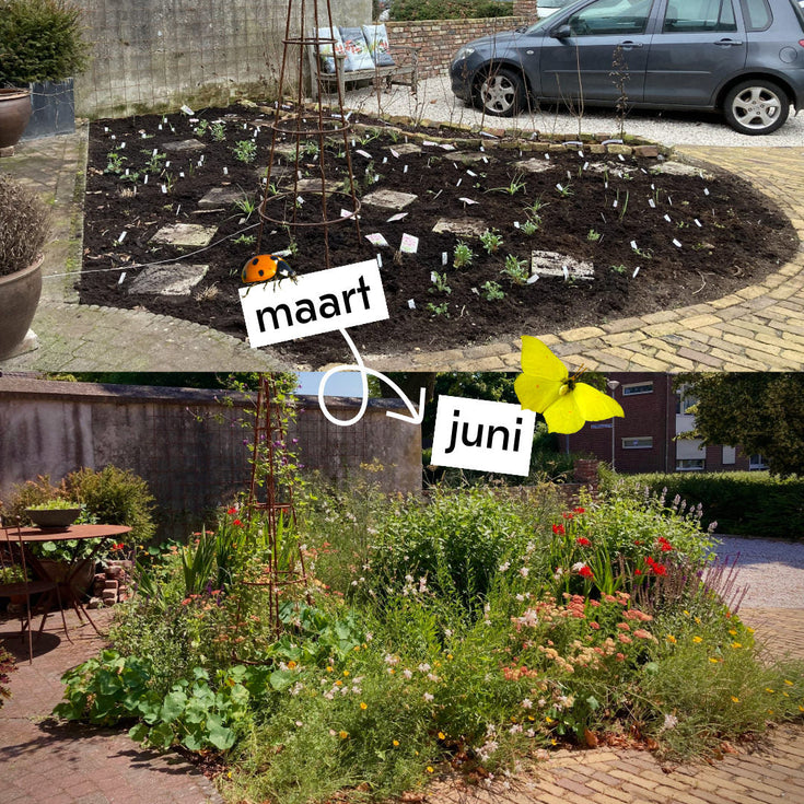 Wie heeft de mooiste groeireportage? Doe mee en win!