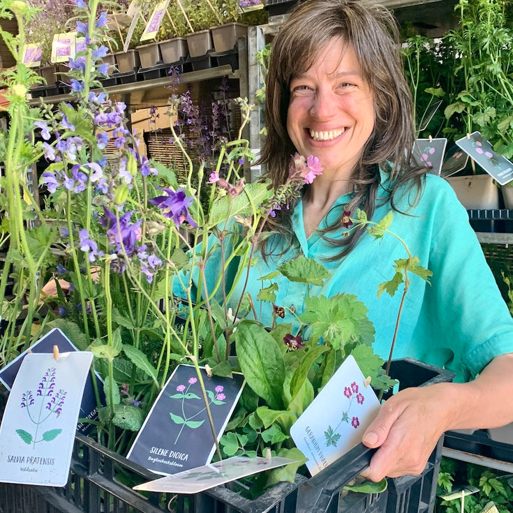 Kies de juiste inheemse planten voor jouw tuin