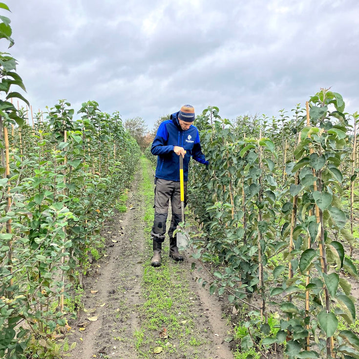Bio Kwekerij Boomkroon: de lekkerste oude fruitrassen!