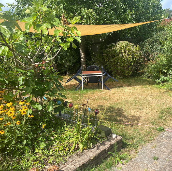 Hoe red je je tuin bij extreme droogte?