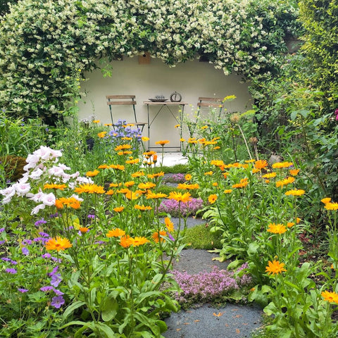 De tuintransformatie van Erika: van keurig naar bloemrijk