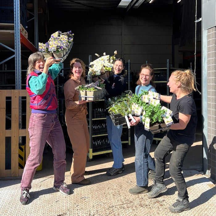 Sprinklr's goede voornemens voor 2026