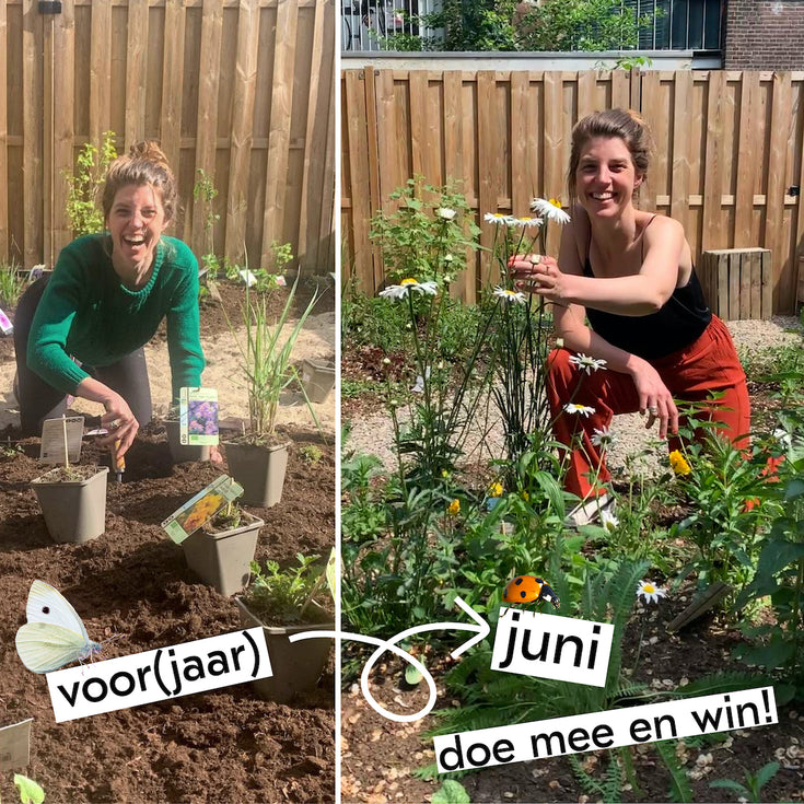 Wie heeft de mooiste groeireportage, deel 2. Doe mee en win!