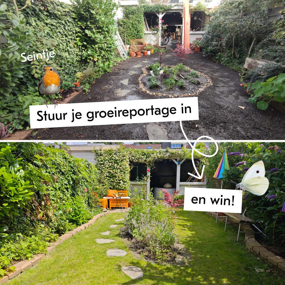 Maak je eigen groeireportage en win!