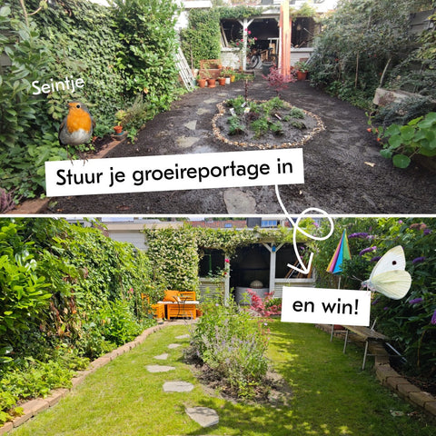 Maak je eigen groeireportage en win!