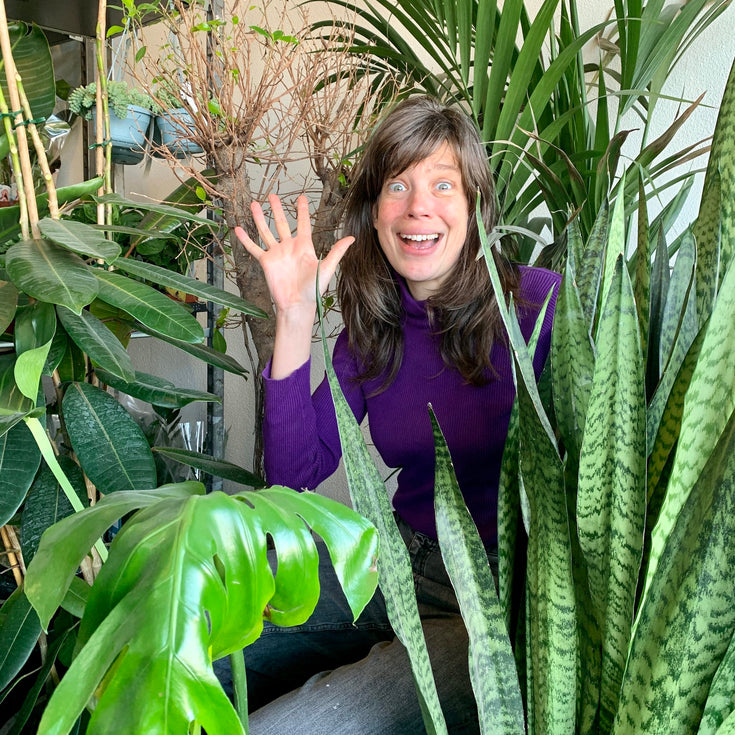 Help, mijn plant leeft!?