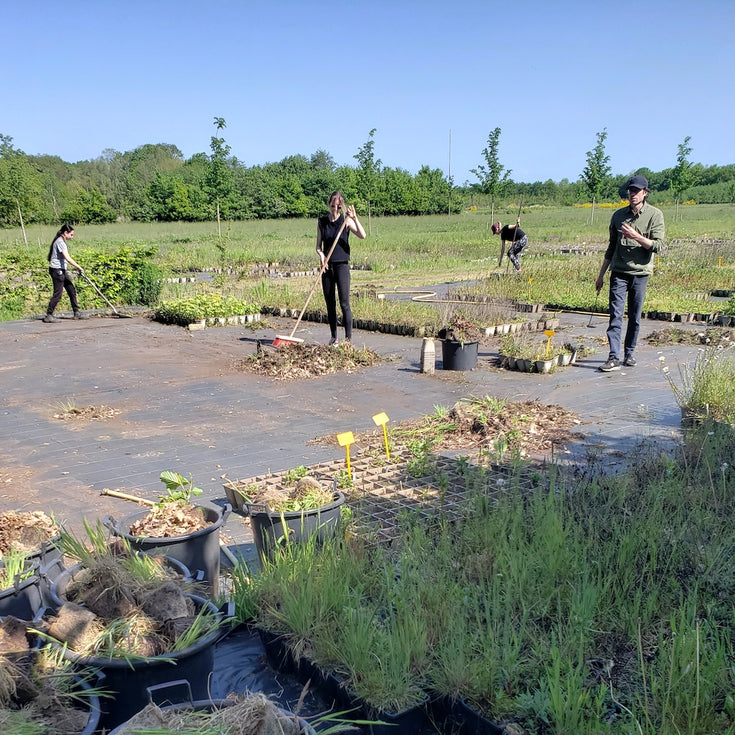 Hulptroepen naar Kwekerij Verhoeven!