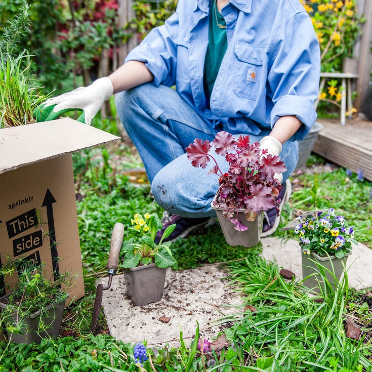 Hoe kies ik de juiste planten voor mijn tuin?