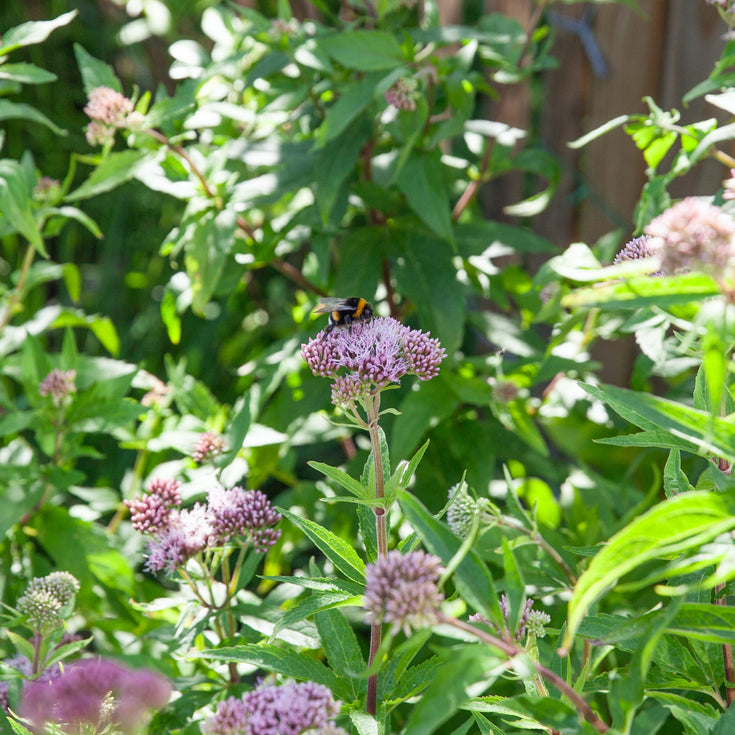 De giftige trends van 2024