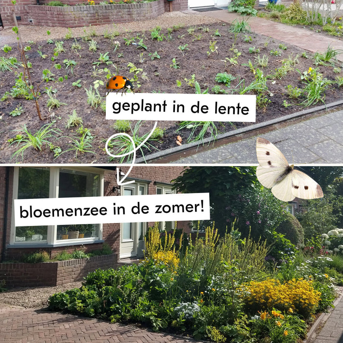 Maak je eigen groeireportage en win!
