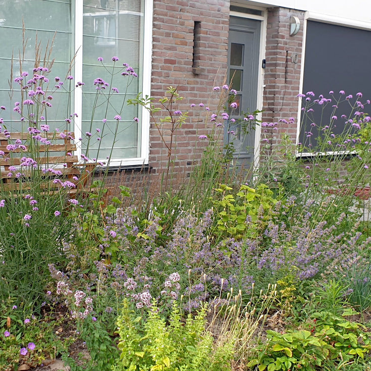 Van grindbak naar voortuin vol bloei!