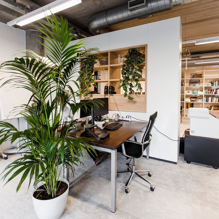 Werken tussen de planten? Dit zijn de voordelen!