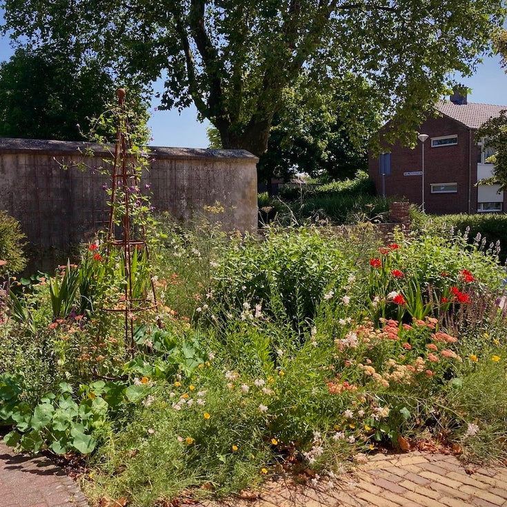 Kijk mee in twee tuinen met een Sprinklr Border op Maat!