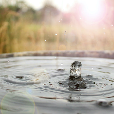 Maak je tuin klimaatbestendig!