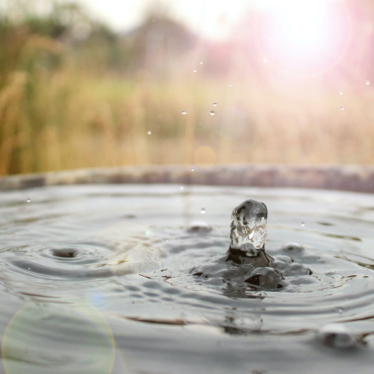 Maak je tuin klimaatbestendig!