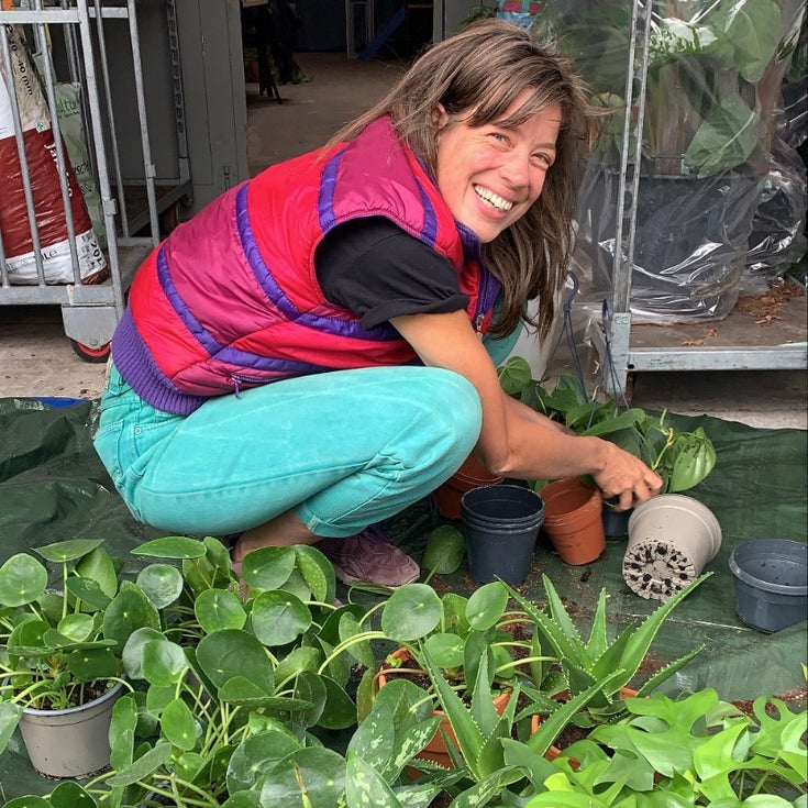 5 jaar Sprinklr: de memorabele momenten van Liedewij