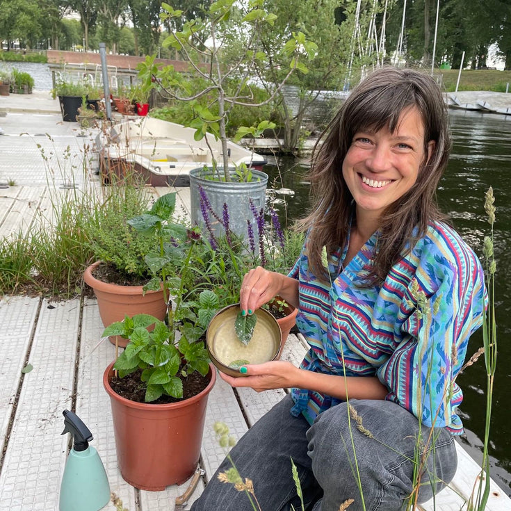 Meeldauw in je tuin. Wat doe je eraan?