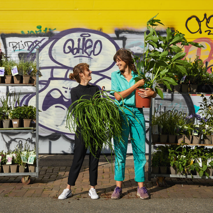 Hoe Sprinklr haar missie vond in 5 stappen