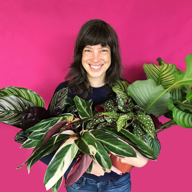 Duurzaamheid bij Sprinklr