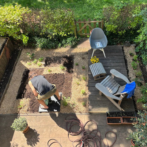 Tuintransformatie: van vlonder naar vogelparadijs