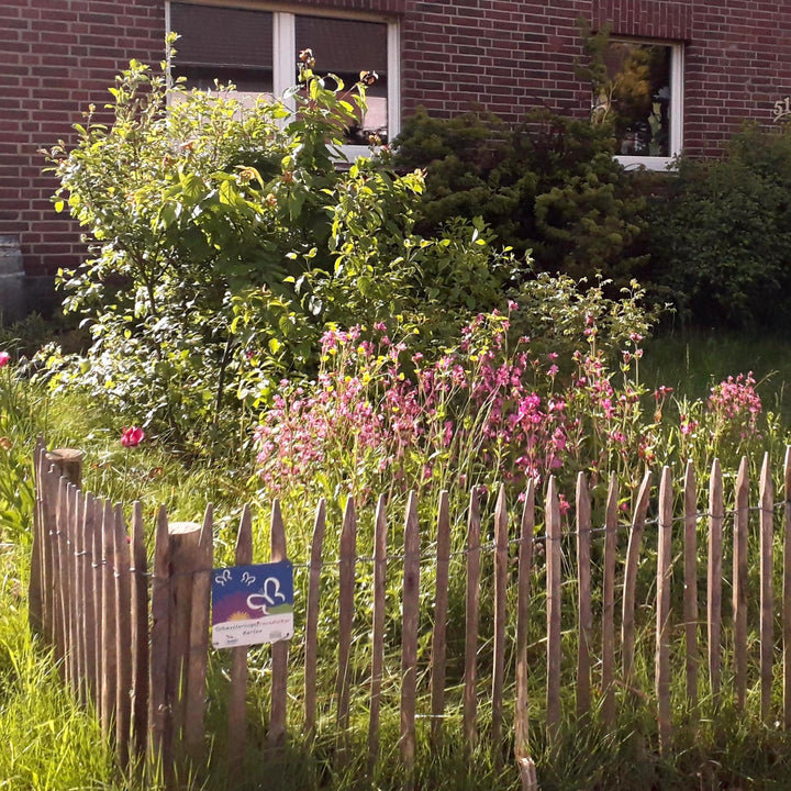 Een Tuiny Forest werkt aanstekelijk!