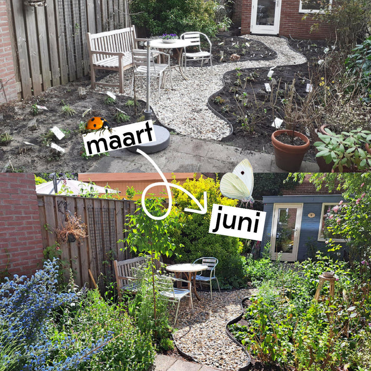 Kom kijken! De drie mooiste groeireportages!