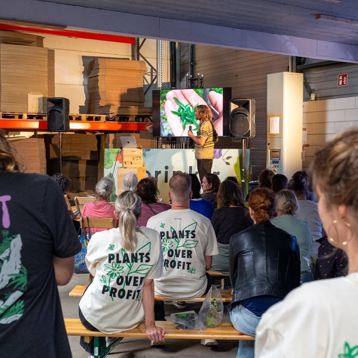 Sprinklr's mini-festival, een fotoverslag!