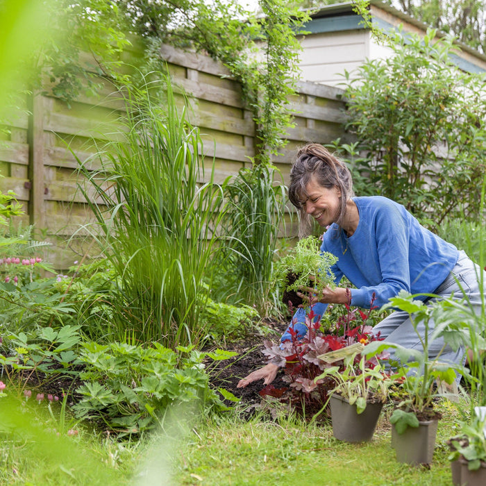 Hoe ver plant ik planten uit elkaar? Tips voor plantafstand