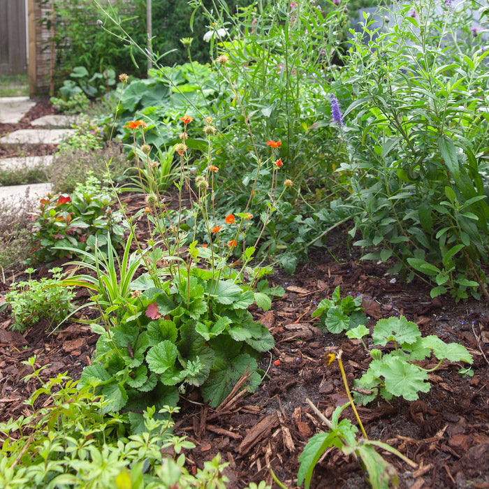 Mulchen is een must!