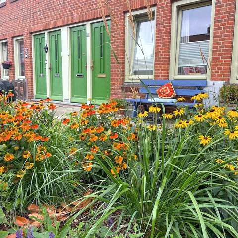 De tuintransformatie van Nadine: van verwaarloosd naar vlammend!