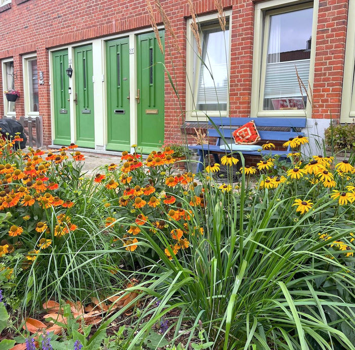 De tuintransformatie van Nadine: van verwaarloosd naar vlammend!