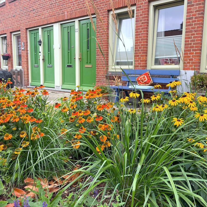 De tuintransformatie van Nadine: van verwaarloosd naar vlammend!