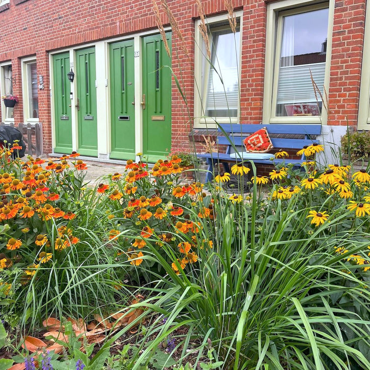 De tuintransformatie van Nadine: van verwaarloosd naar vlammend!